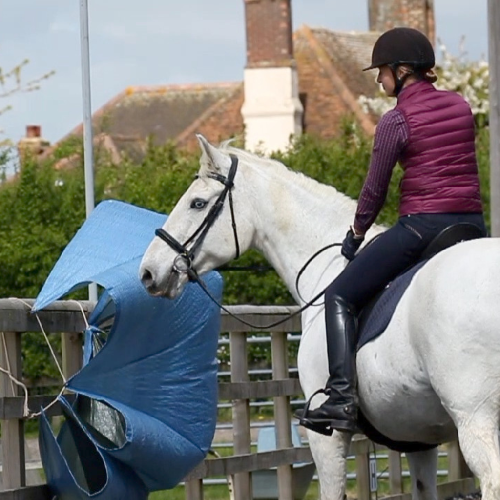 horse looking at plastic blowing in the wind