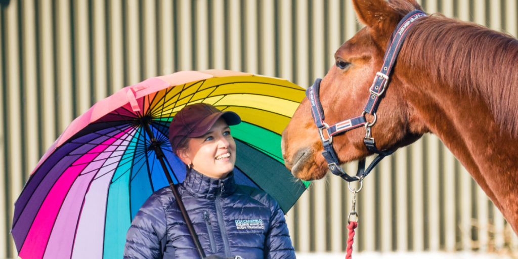 Horse looking at person holding a rainbow umbrella