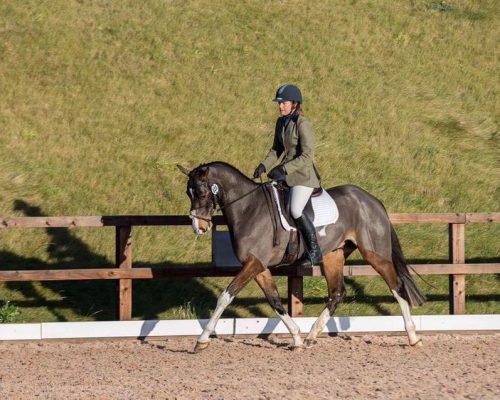 23472954_10156731349082538_1677127084619199168_n