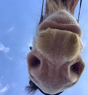 278750079_4832799200157321_2463134243962573828_n