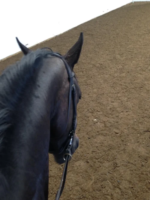 348362128_1985084525217454_3732942410142215078_n