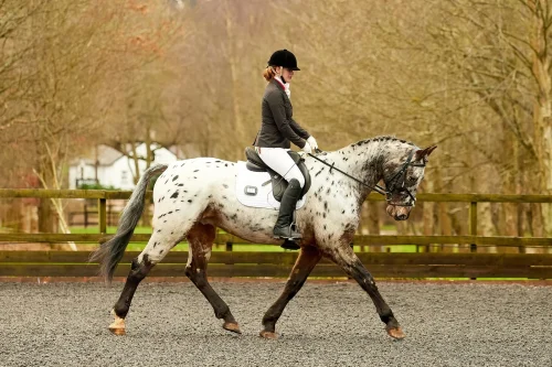 Equiteam_Caeleigh Kean_blog