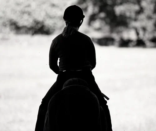 Equiteam_blog (3)