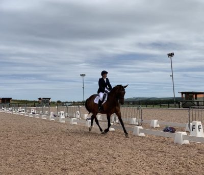 Dressage