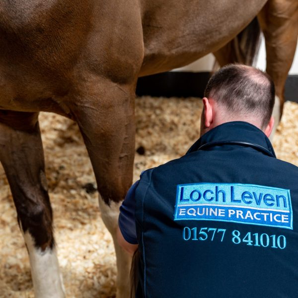 Loch Leven Equine Vets Print Res-608