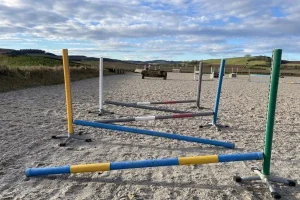 Poles