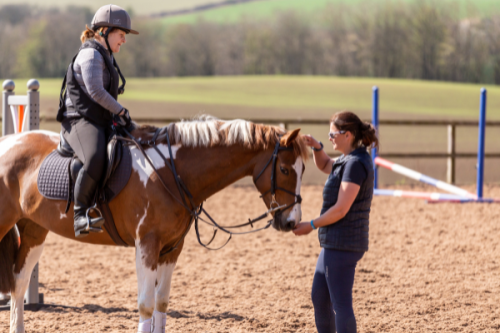 Equestrian Coach