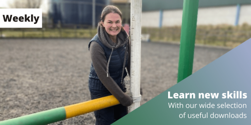 horse riding exercises