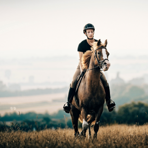 horse rider