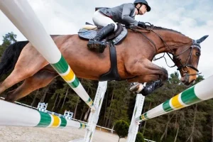 jumping (1)
